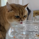 o.OO.o