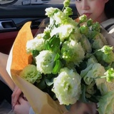 💓👸Carol xu（阿