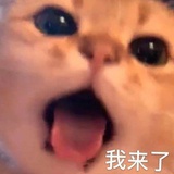 54188哈哈哈
