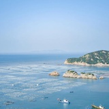 新月
