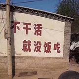 十一