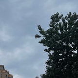 吴哈哈哈哈哈11