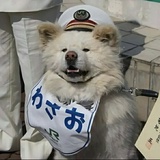 别来沾边