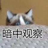 略略略略略