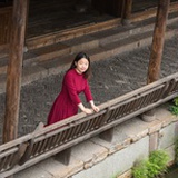 唐菲
