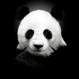时尚达人