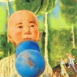 秃鹤