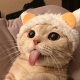 水费分期
