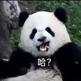 mxcwyqr