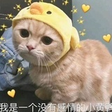 北乔南望