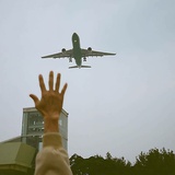 大鱼