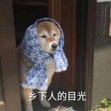  阿甜