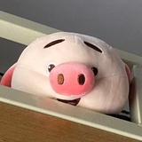 豆瓣凑数！