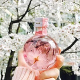 夏天爱吃西瓜🍉