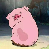 手机匿名用户