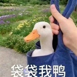 小火车逛吃逛吃