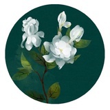 柚子桃子