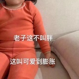 D仔
