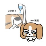 已注销