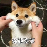 大花花