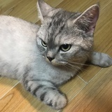 咕咕小魔盒