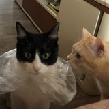 照片墙