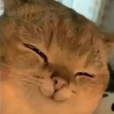 已注销