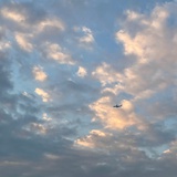 梁梁034