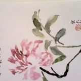 清江