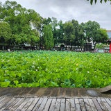 欽明