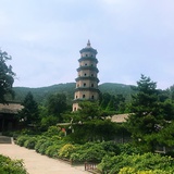 甜橙甜心