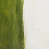 我又改名了