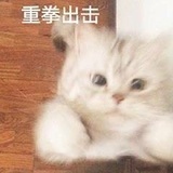 想吃吃