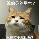 鱼3岁