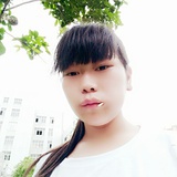 四叶草