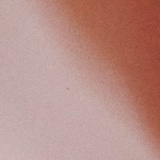 腻腻