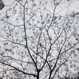 何小二