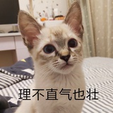 饼干与我