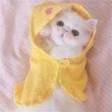 M_eng