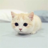 我叫三顺