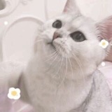 离