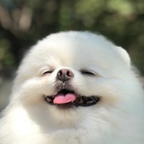 路过
