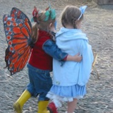 夏天了该吃小龙