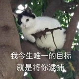 rps研究学者