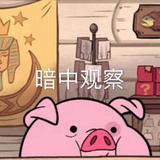 猪猪侠