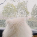 大吉完事儿