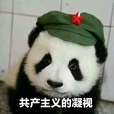 全tm是套路的套