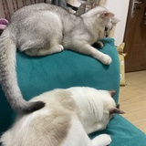 情深不寿33
