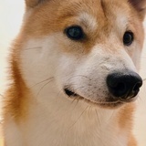 。。。