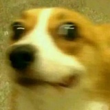 不止八十块